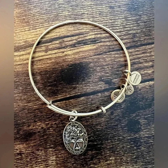 Alex and Ani | Friend, Expandable Rafaelian Bangle Bracelet. - Picture 1 of 8